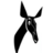 Logo Radio Okapi